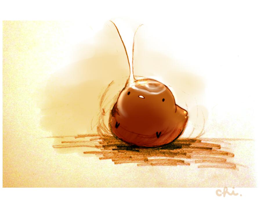 咖啡糖果插画图片壁纸