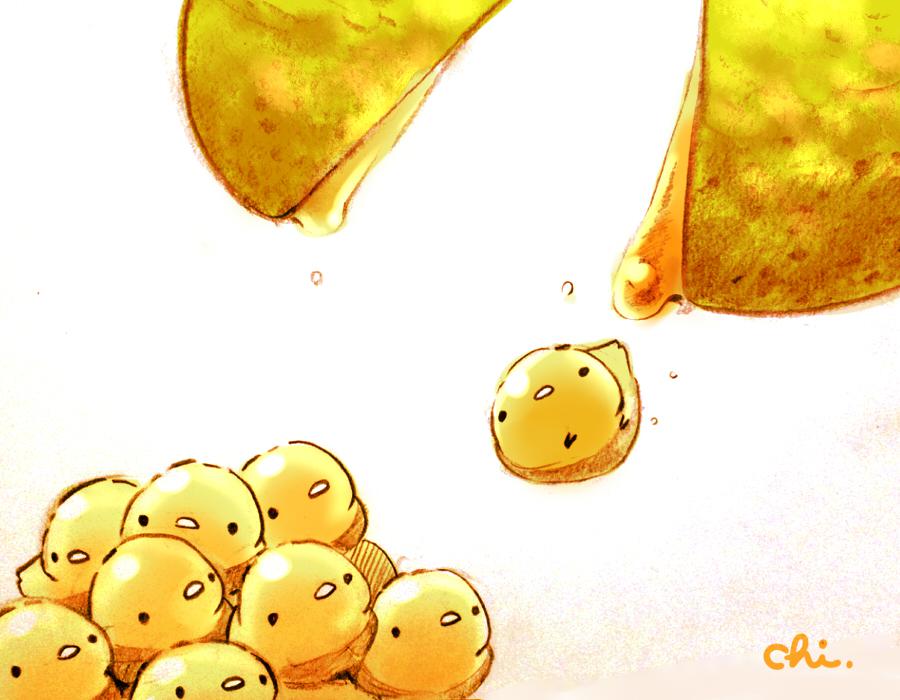 柚子糖插画图片壁纸