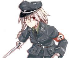 亲卫队纳粹-WW2军人