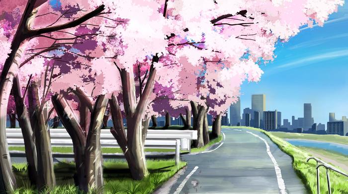 樱花树插画图片壁纸