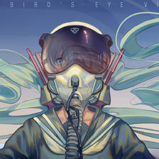 THE BIRD'S EYE VIEW插画图片壁纸
