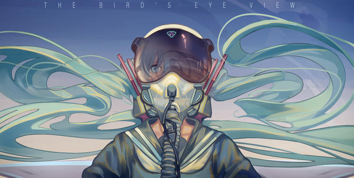 THE BIRD'S EYE VIEW插画图片壁纸