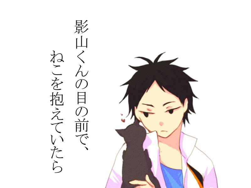 影山くんの目の前で、ねこを抱えていたら头像同人高清图