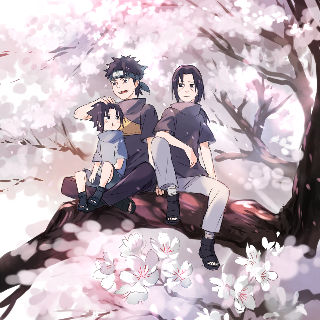 花見*插画图片壁纸