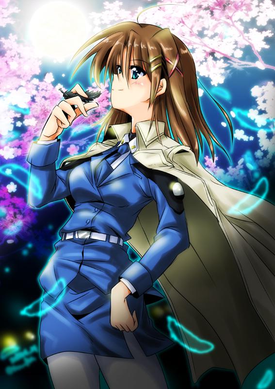 夜樱夜天之主和小黑哈尼