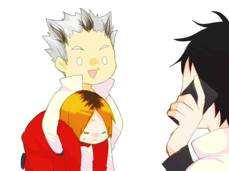 借りてきたねこ-排球少年死んだな木兎さん