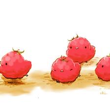 树莓插画图片壁纸