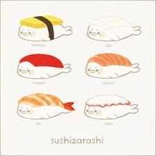 寿司海豹插画图片壁纸