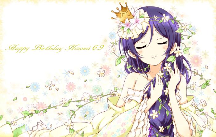 Happy Birthday Nozomi插画图片壁纸