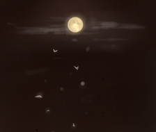 月光虫-グリグリメガネと月光虫初音未来