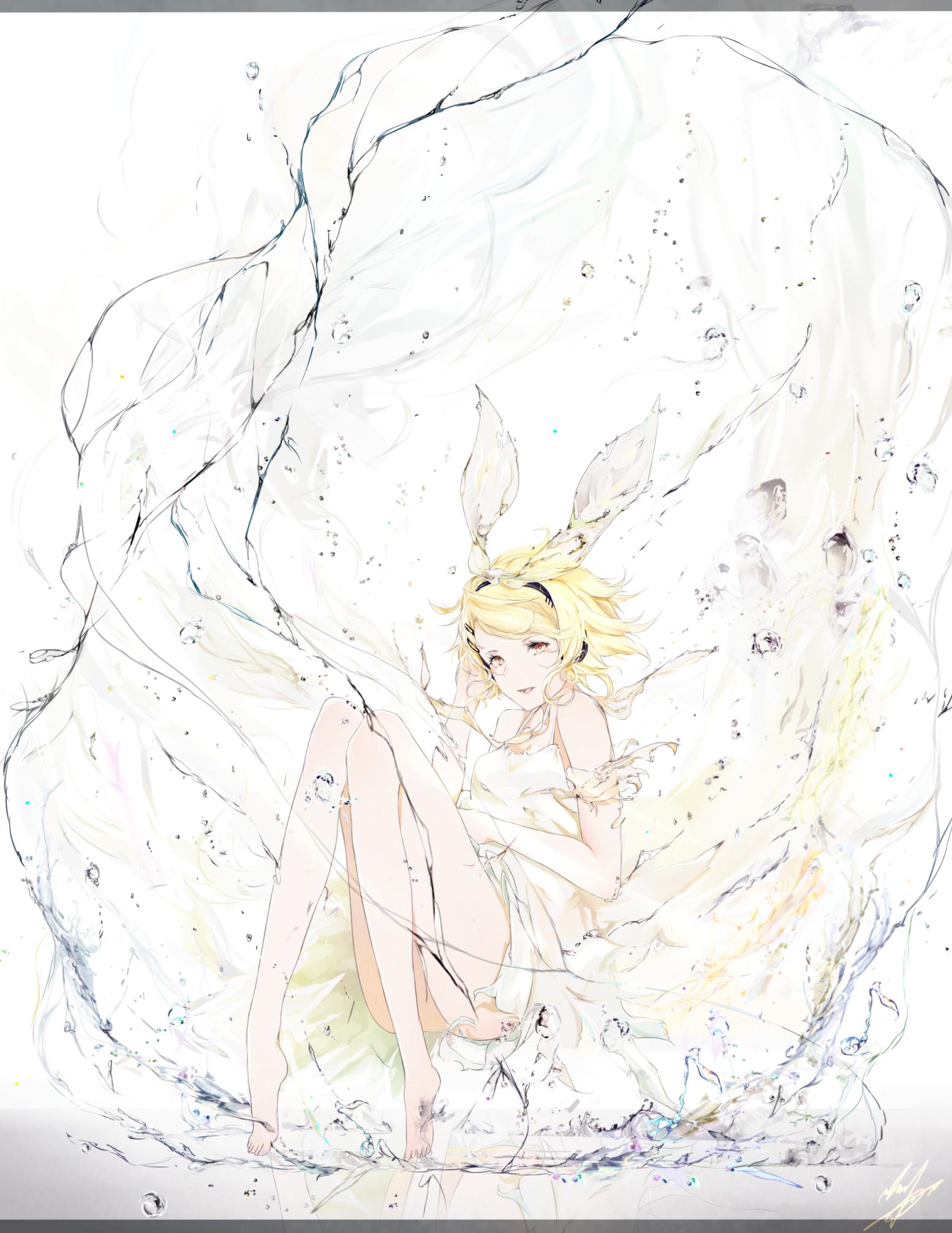 Splash。.插画图片壁纸