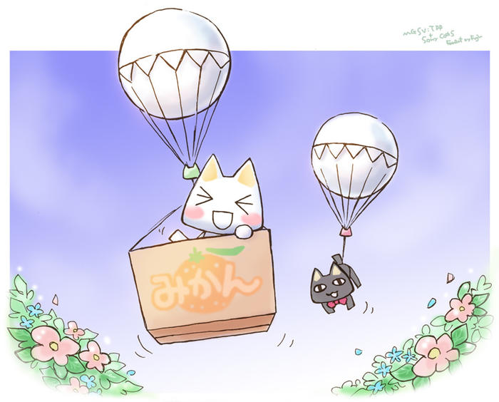 会被回收的猫插画图片壁纸