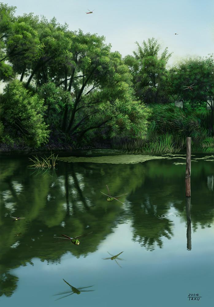 银洋马池-原创风景
