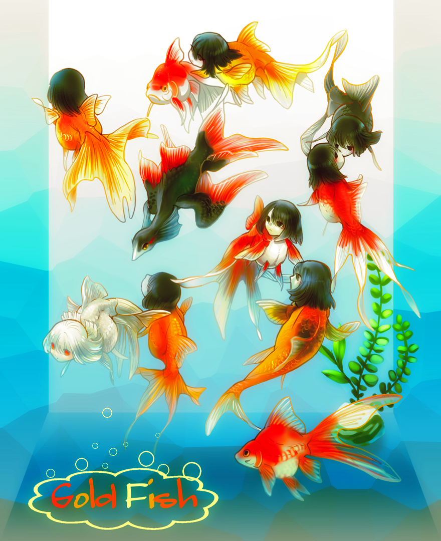 【小观赏鱼——仔鱼、鱼龙、人头鱼】插画图片壁纸