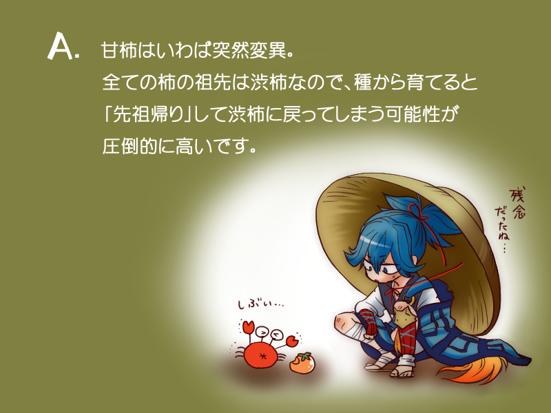 ほんとに柿のはなし插画图片壁纸