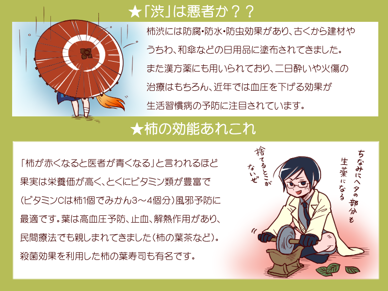 ほんとに柿のはなし插画图片壁纸