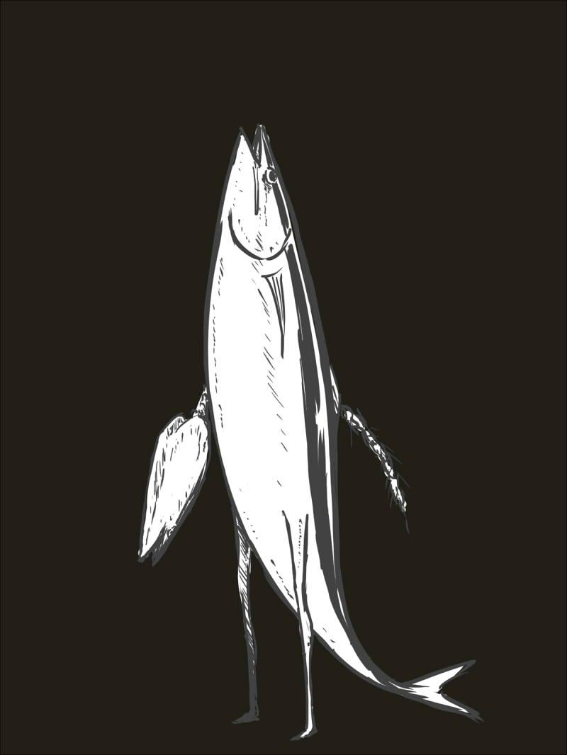 秋刀魚插画图片壁纸
