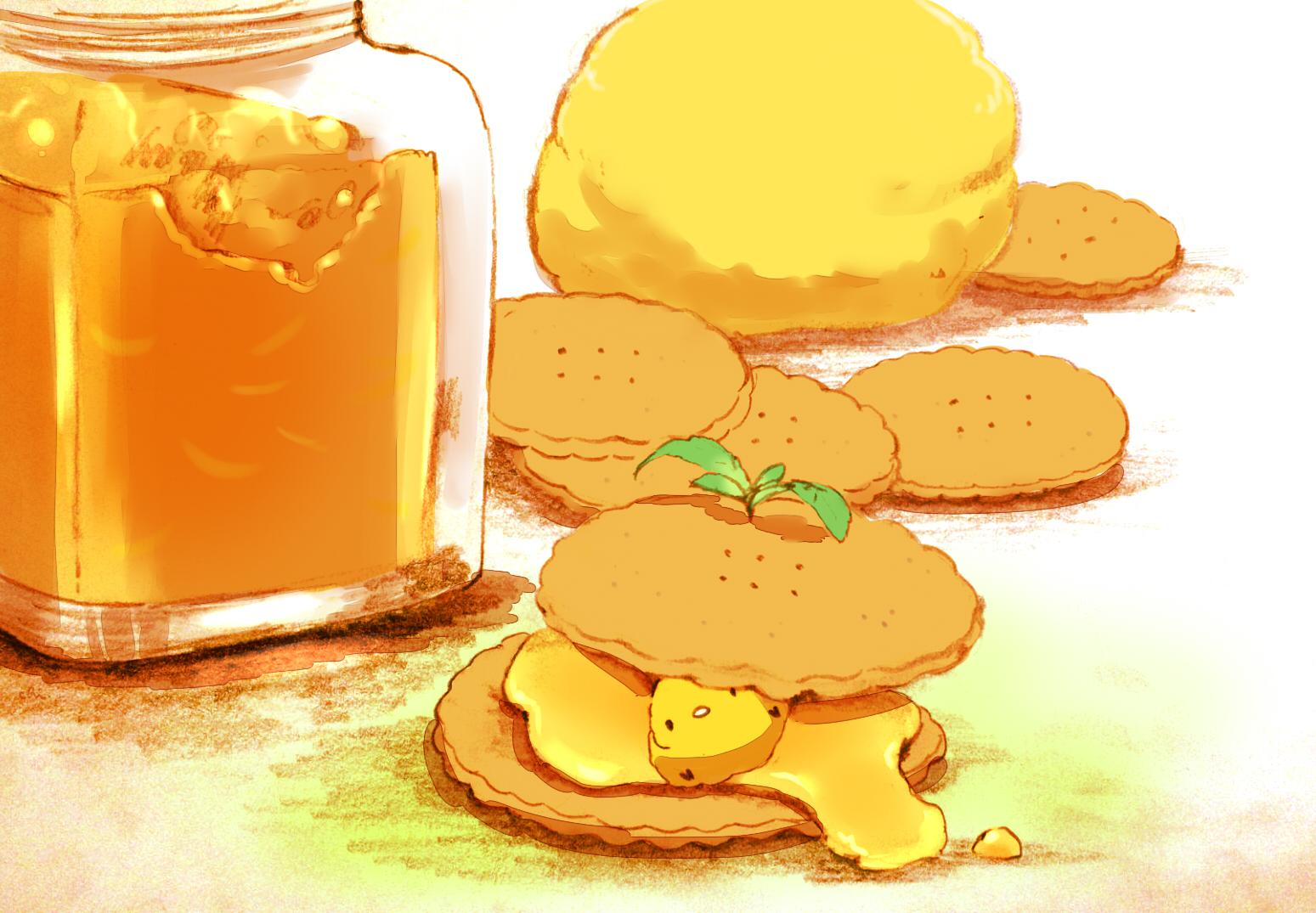 大麦饼干柚子果酱三明治插画图片壁纸