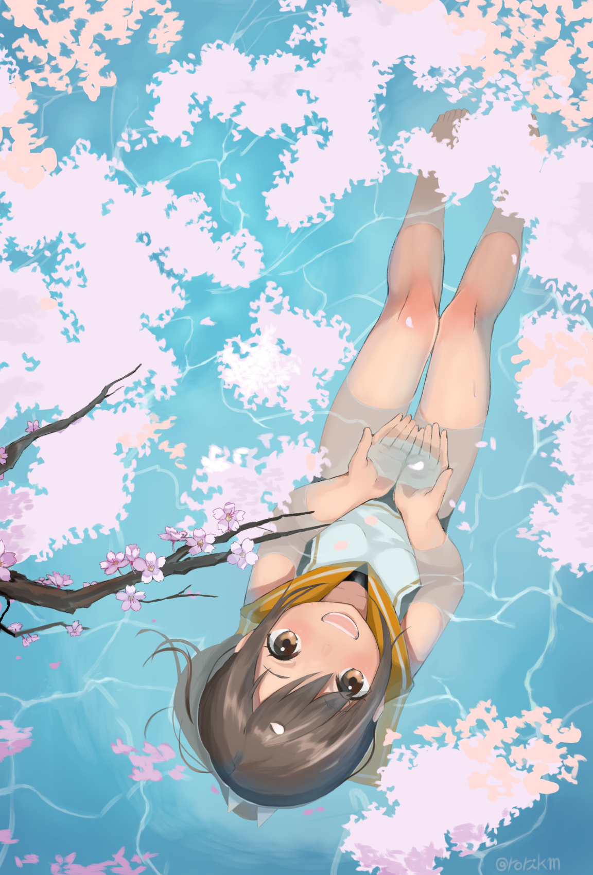 桜の海插画图片壁纸