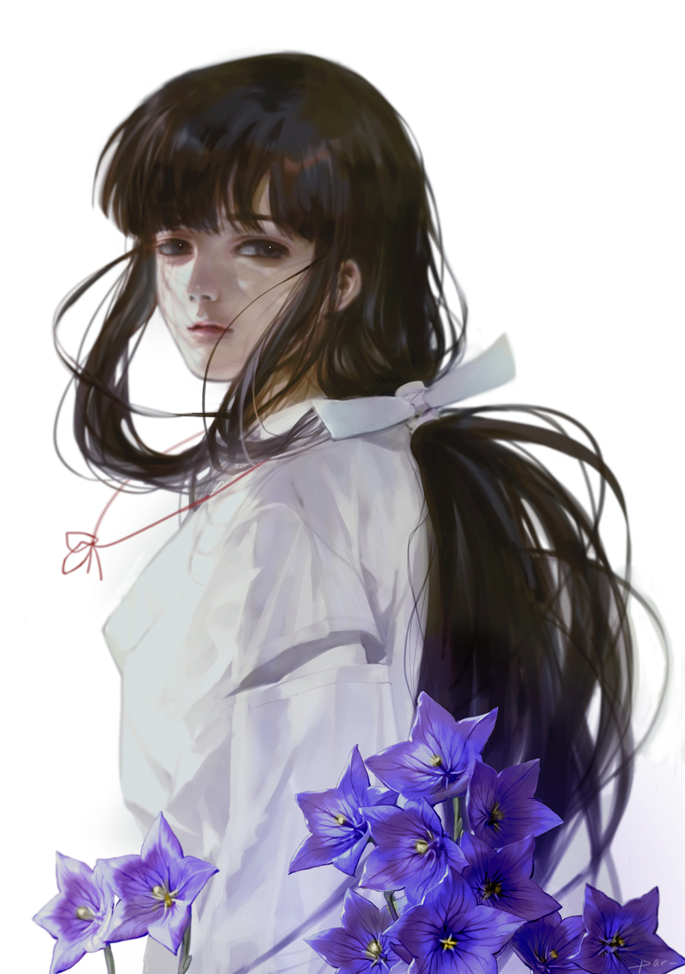 【桔梗】無望の愛，永遠の愛插画图片壁纸