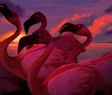 红鹤-火烈鸟コフラミンゴ