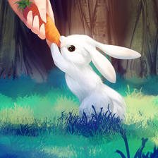 兔女郎插画图片壁纸