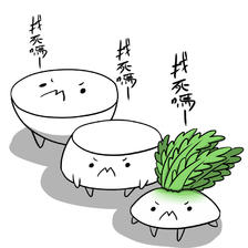 菜頭插画图片壁纸