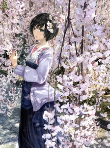春でおぼろで桜月插画图片壁纸