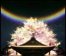 桜幻想夢-背景风景