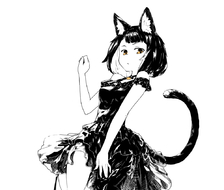 黑猫-原创黒猫