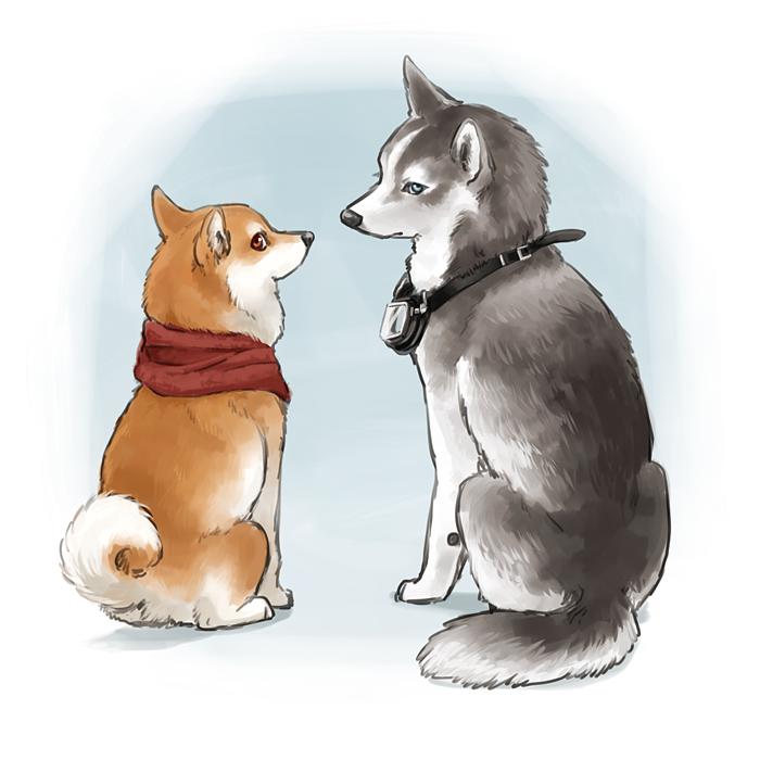 围巾和护目镜-狗柴犬