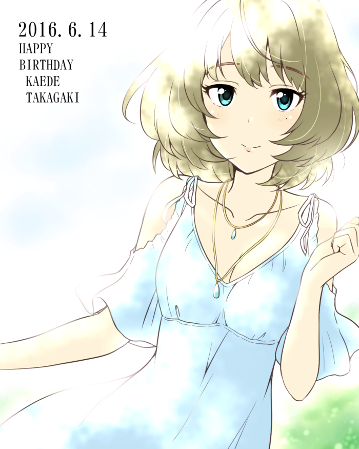 枫先生生日插画
