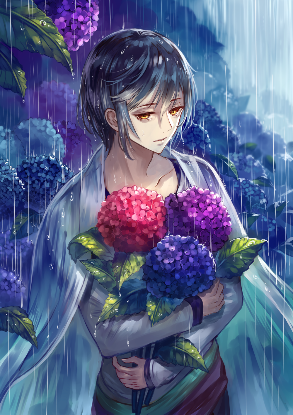 紫陽花插画图片壁纸
