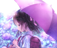 紫阳花之歌-原创小雨伞
