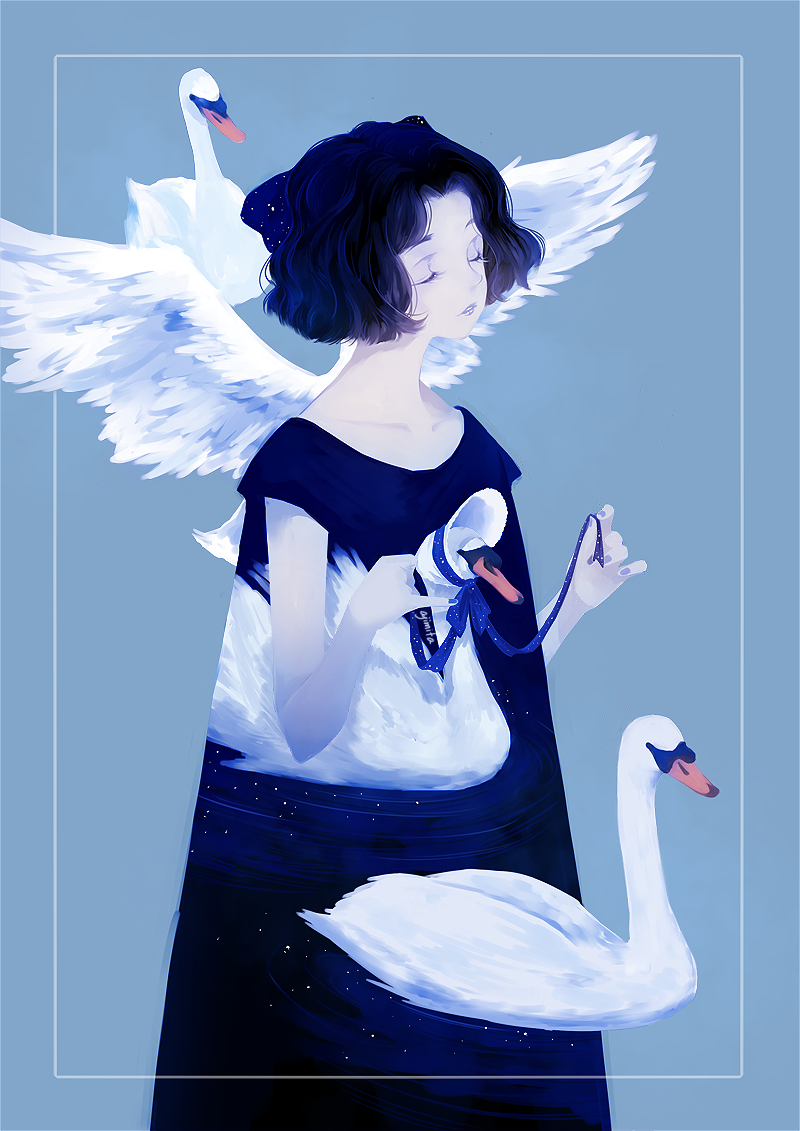 swan插画图片壁纸
