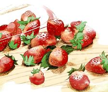 草莓日-原创すいーとり
