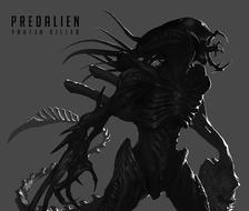 Alien——Yautja Killer