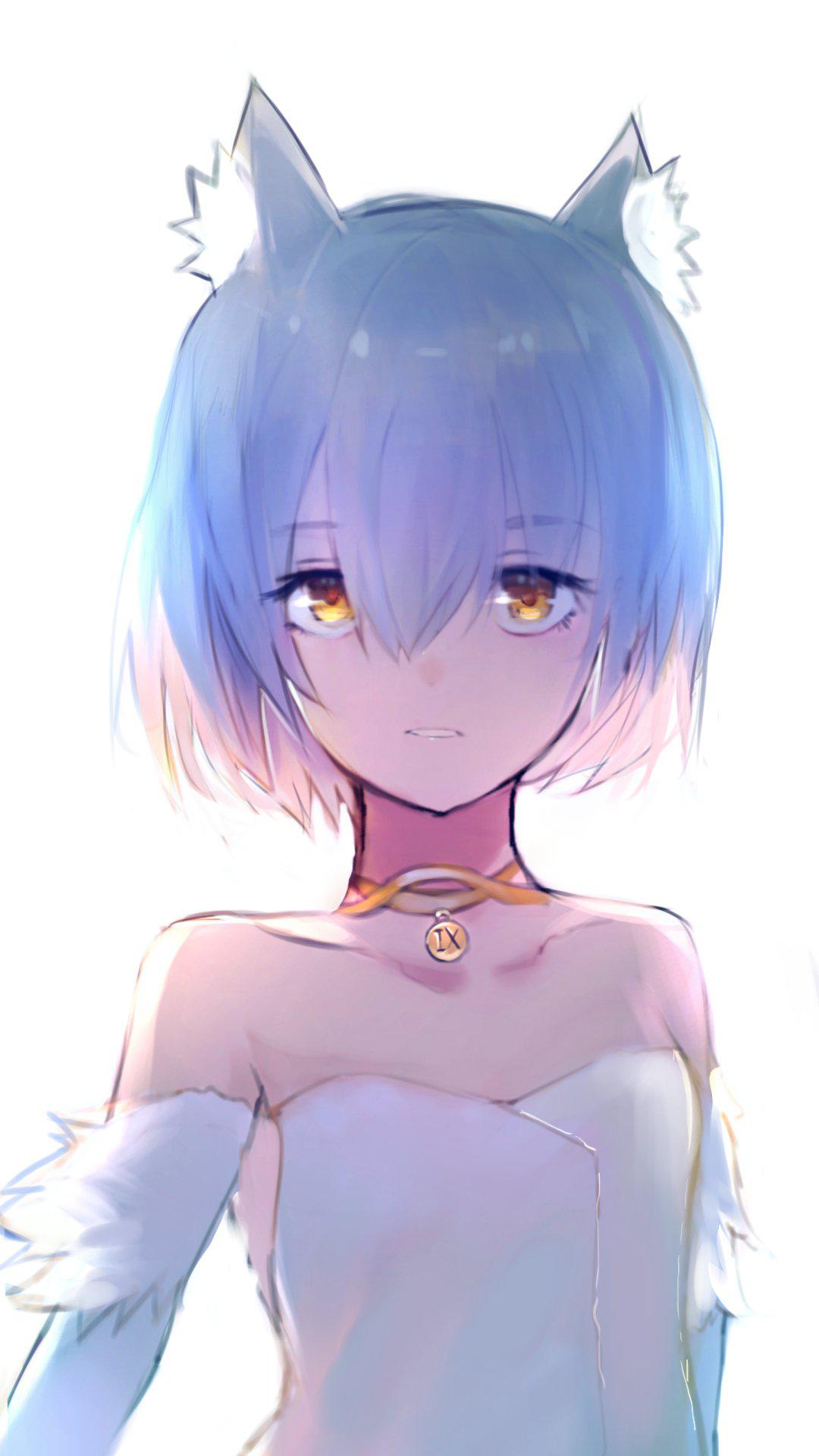 猫美美-创作原创-触站