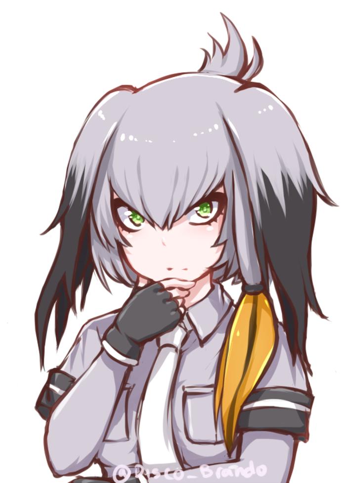 shoebill th0nkang插画图片壁纸