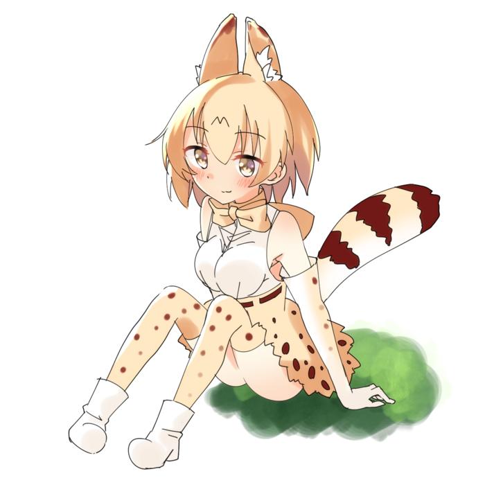 けものフレンズの絵插画图片壁纸