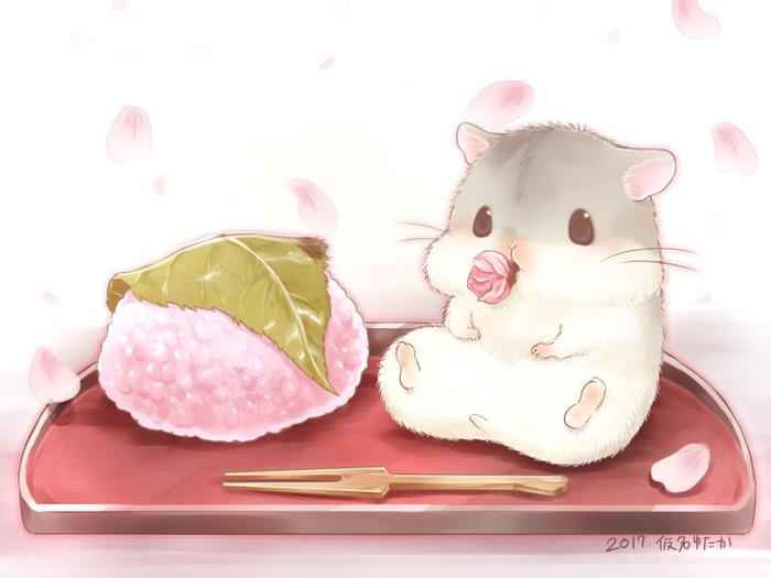 樱花饼。插画图片壁纸