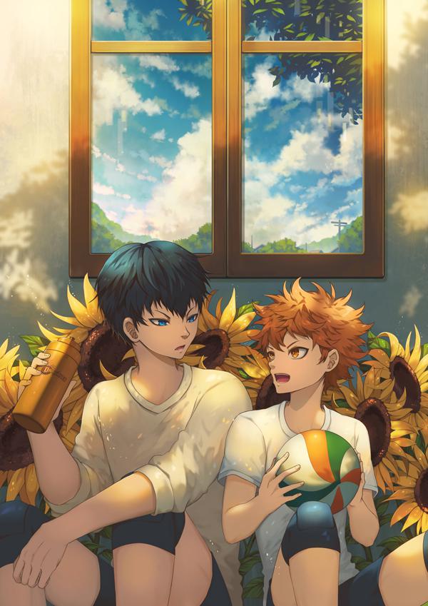 Their Sunflowers插画图片壁纸