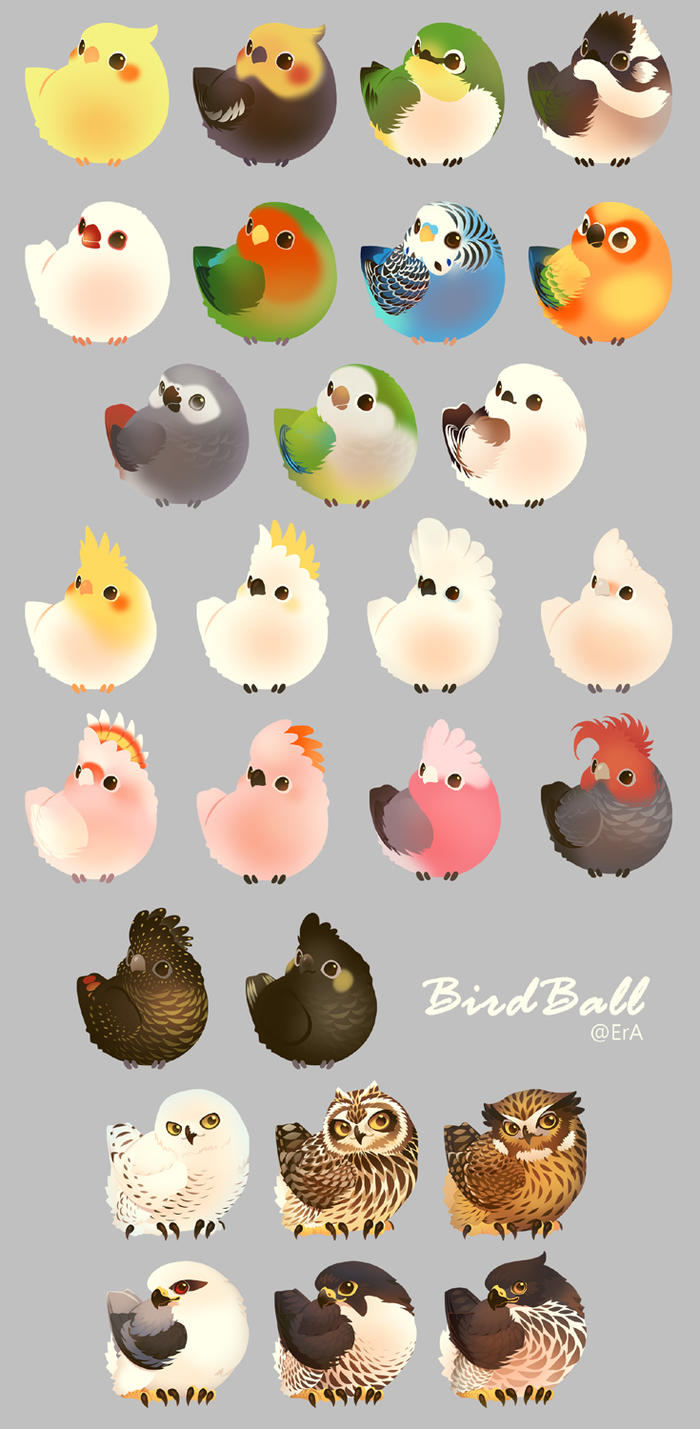 BirdBall插画图片壁纸