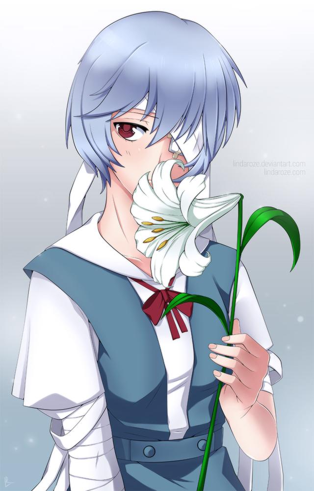绫波丽插画图片壁纸