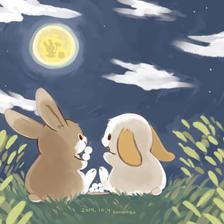 赏月兔插画图片壁纸