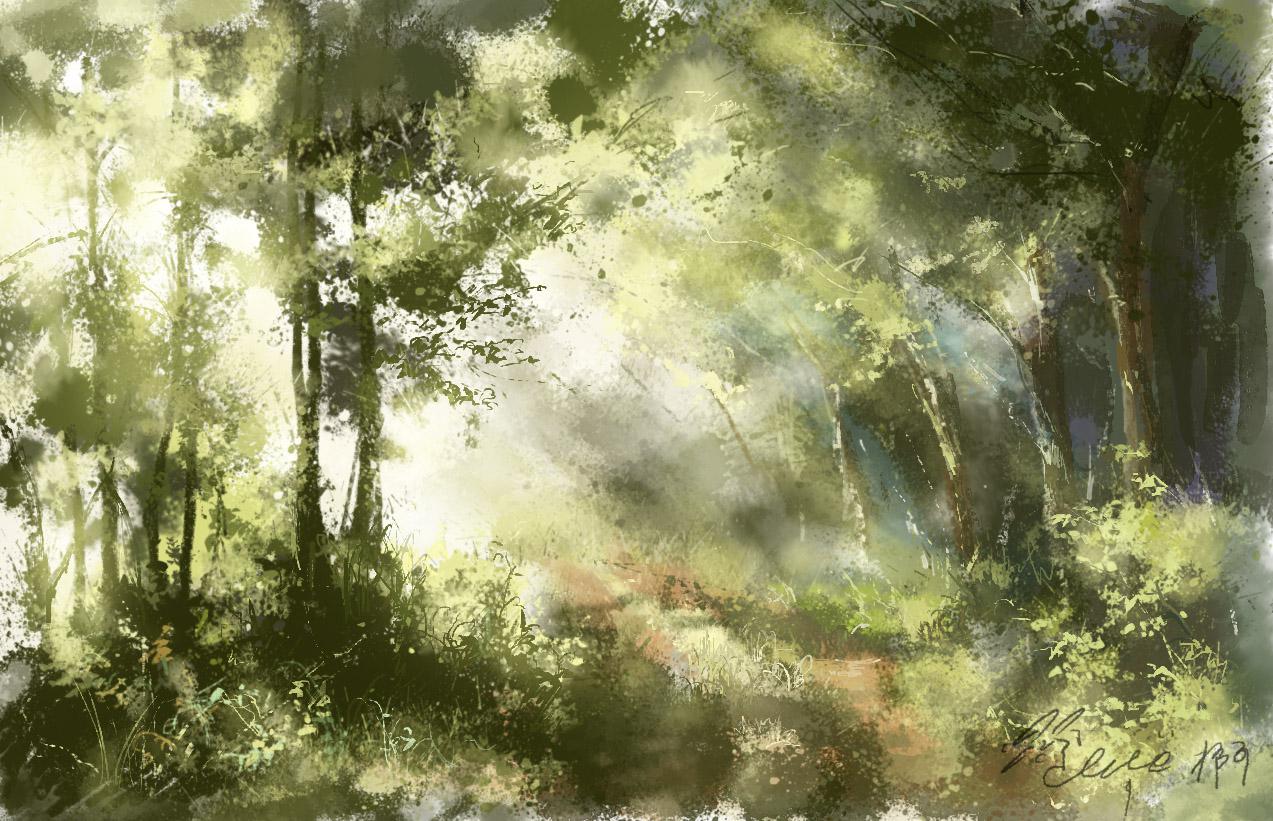 森林插画图片壁纸