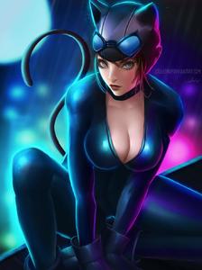 Catwoman插画图片壁纸