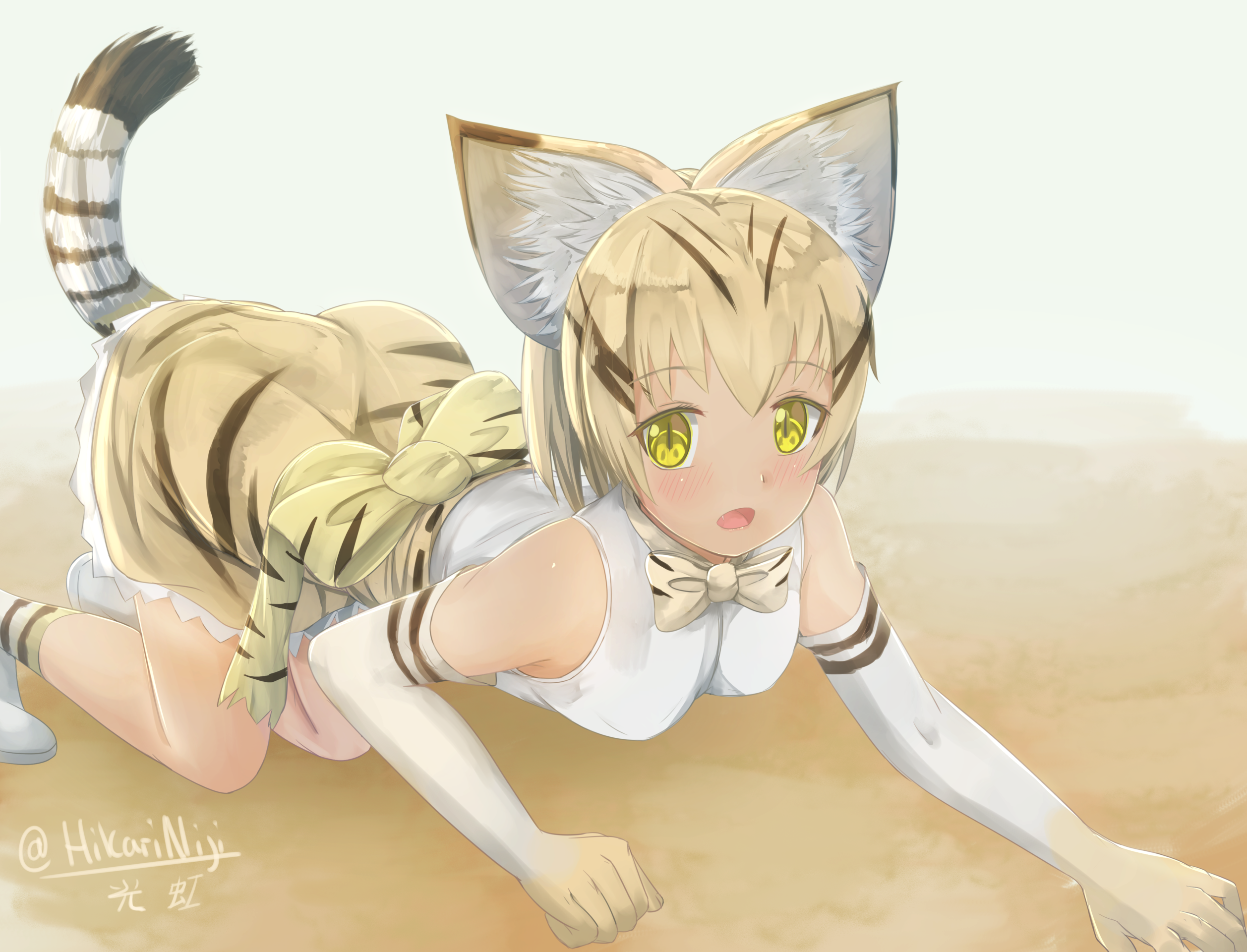 Sand Cat~插画图片壁纸