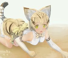 Sand Cat~-沙丘猫Sunaneko