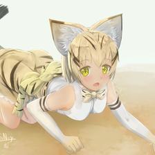 Sand Cat~插画图片壁纸